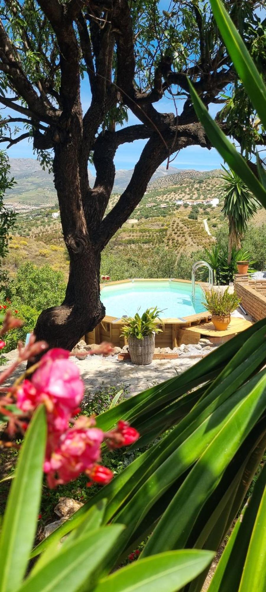 La Vista Vinuela B&B 외부 사진