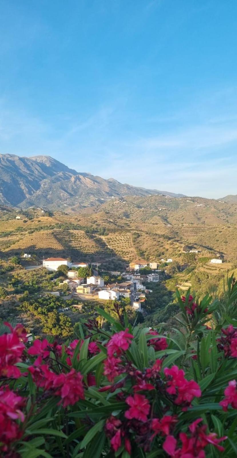 La Vista Vinuela B&B 외부 사진